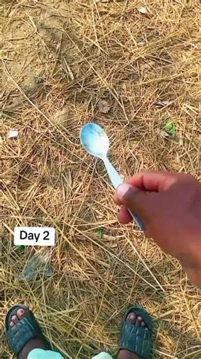 Day 2 i start new challenge everyday dig 1 spoon for every follower until i have clean the Gobar
