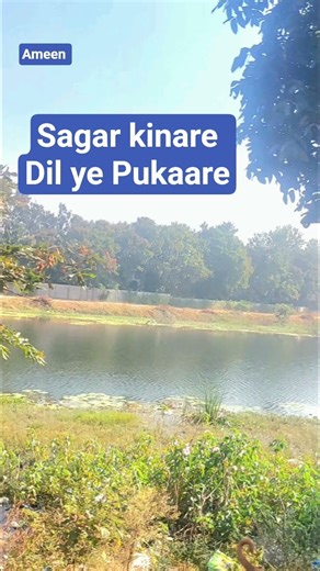 Sagar kinare Dil ye Pukaare #kishorekumar #sagarkinare