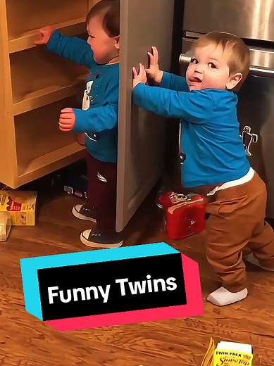 Adorable and Funny Twins Moments