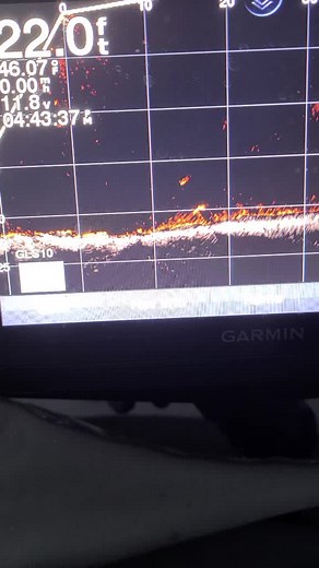 #walleye #panoptix #livescope #fishingpigeon #smashem #getoutthere #3for1 #fishing