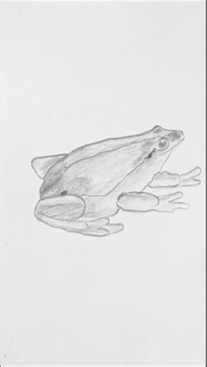 1 millon views | mr frog🐸 #drawing #drawingtutorial #art