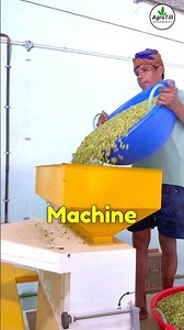 Cardamom 🍈 Elachi Grading