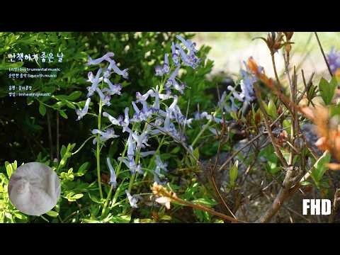 순탄한 음악 Smooth music (산책하기 좋은 날 (기악) - 꿈의공장)
