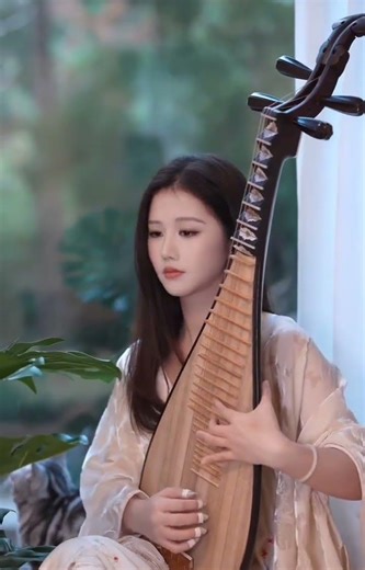đàn tỳ bà#pipa#cover#chinese music#nhachaymoingay#traditional Chinese musical instruments