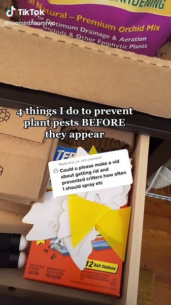 Pest Prevention: 4 Strategies to Keep Your Plants Healthy