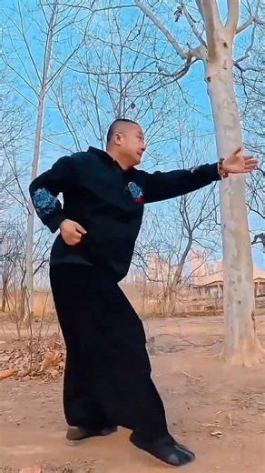 Master Bagua Quan: Unleash Your Inner Power