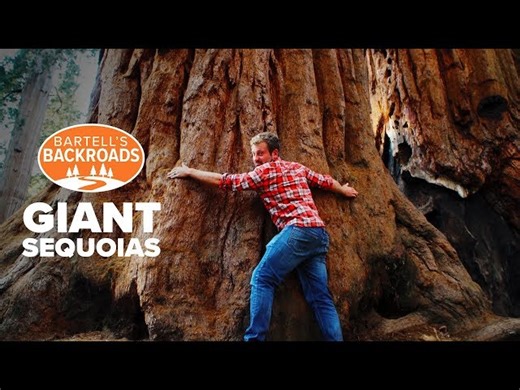 Sequoia & Kings Canyon National Park