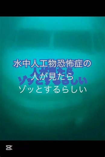水中人工物恐怖症の人が見たらゾッとするらしい#shorts