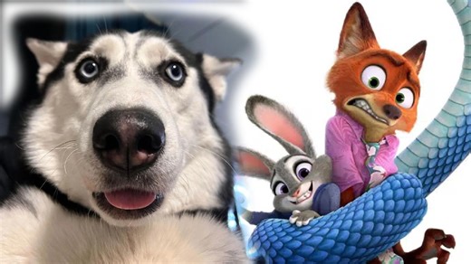 【大纲模版】狐兔CP不过瘾？来看二哈CP的写法 | 读《作家笔记本》