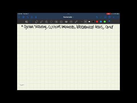 how accurate are conventional methods of bacterial identification