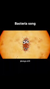 77K views · 1.5K reactions | Bacteria song | Biologie Biology | Facebook