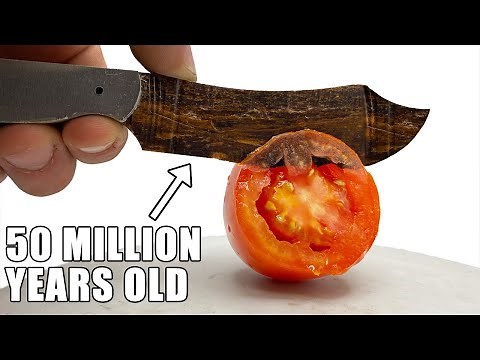 World's Sharpest Petrified Wood Knife