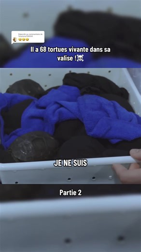 Réponse à @Tonytony700000 Douane sous haute surveillance #creatorsearchinsights #reportage #police