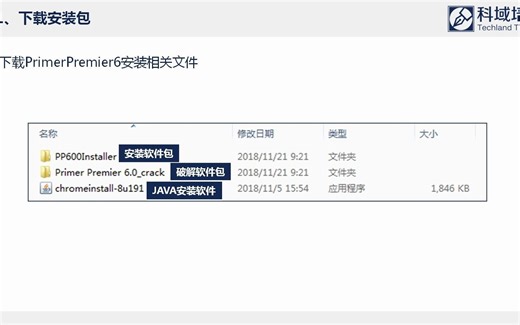 【引物设计软件】学会Primer Premier6软件使用，只需3分钟！