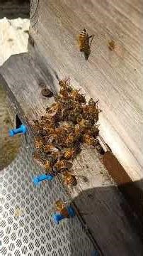 That guy is so funny lol