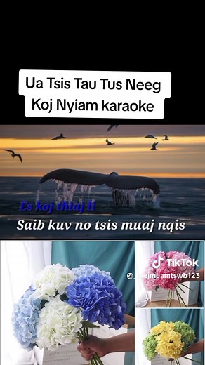#duet cùng @KARAOKE HMOOB #clipkaraoketiktok vim tsi zoo nkaujj ua tsi tau tus ua nej nyiam 🤧🤧 #xuhuongtiktok #fyp #vimtsilojtsisiab