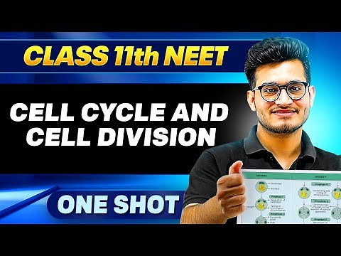 CELL CYCLE & CELL DIVISION in ONE SHOT || All Concepts, Tricks & PYQ || Ummeed NEET