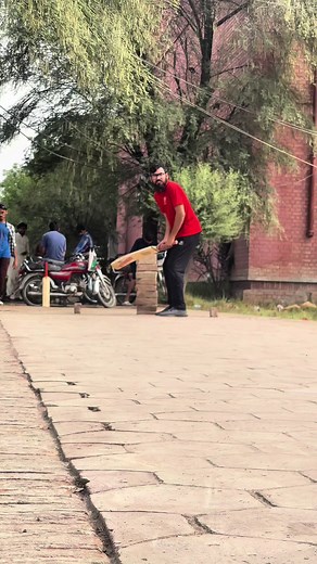 Cricket Humor: A Dream of Heaven's Tournament