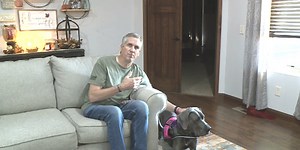 Harlow the Great Dane: a service dog, a life-changer