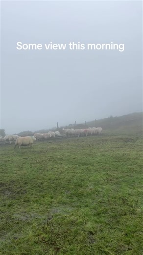 Farmer Mick (@farmermick24)’s videos with original sound - FarmFLiX