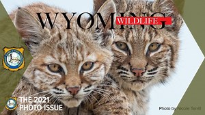 4.7K views · 144 reactions | Wyoming Wildlife magazine is happy to...