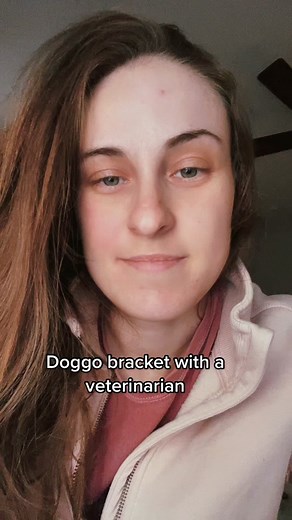 Healthiest Dog Breeds According to a Veterinarian