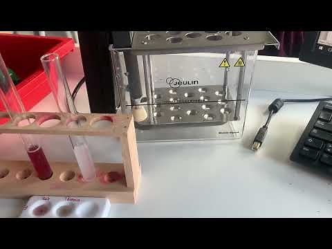 Une cause d'intoxication des chevaux