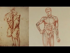 Muscles of the Body - Anatomy Master Class