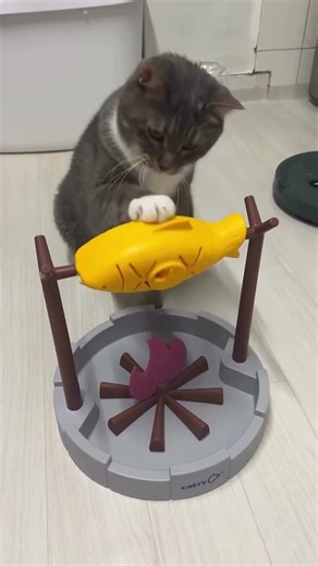 Funny ANIMALS videos 😂 Funniest CATS and DOGS 2026 | Part 42 #pets #funny #video #shorts #dog