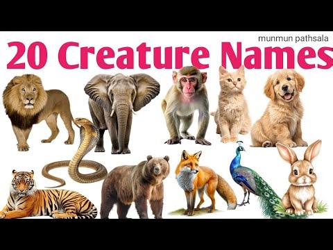 20 creature names for kids|Learn Creature names in English with sounds &Fun