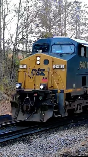 CSX auto rack train