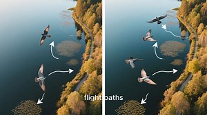 27K views · 493 reactions | Top mistakes new duck hunters make plz watch and comments | Duck Hunting Marvellous | Facebook