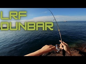 How Many Fish Can I Catch In An Hour? LRF Dunbar Harbour - Multi Species - Fishing in Scotland