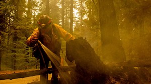 Caldor Fire evacuations could last at least a week or upward of two weeks, Cal Fire says | Evacuations, maps and updates