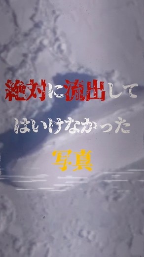 63K views · 372 reactions | 南極で発見された謎の船 #都市伝説 #ミステリー #南極 #宇宙船 #謎 | ゆう 伝説 | Facebook