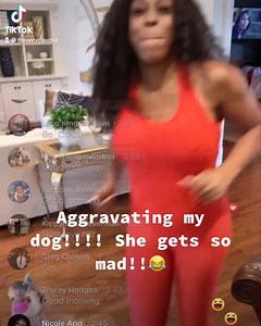 It’s always entertaining over here!!!! @dat_pup_coco | Dianna Williams