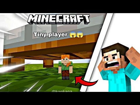 Minecraft 1.21 tiny player 😱😱 command in java version