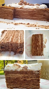 3.9K views · 3.3K reactions | Čokoladni medovik - velika, rođendanska...