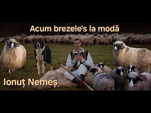 Ionut Nemes - Acum brezele's la moda 🐏 (Official Music Video)