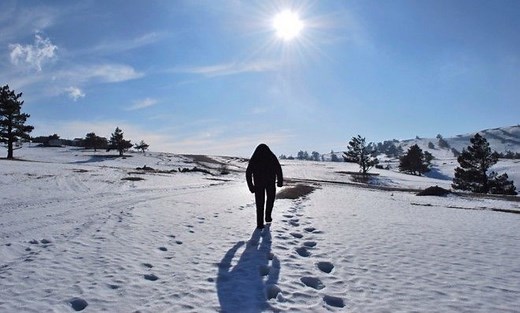 11 crazy Bigfoot conspiracy theories