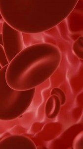 Concept de santé. À l'intérieur du : vidéo de stock (100 % libre de droit) 3790943991 | Shutterstock