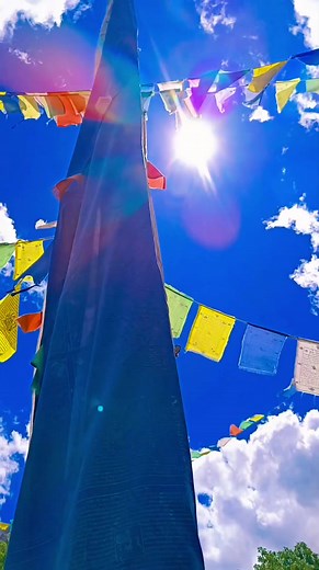 8.7K views · 158 reactions | If you truly want to change your life,...