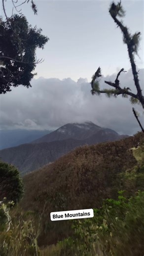 Blue Mountains, Jamaica | sheldonlev