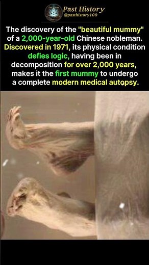 The Mystery of Lady Dai: The World’s Best-Preserved Mummy#history #education