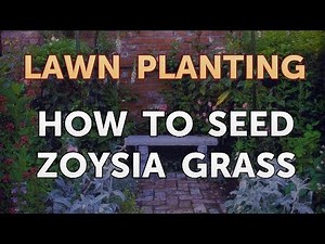 How to Seed Zoysia Grass