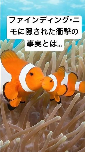 【衝撃】映画「ファインディング・ニモ」のその後、パパが「ママ」になる！？