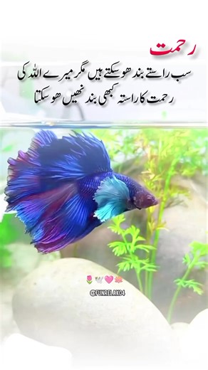 Fun 🌎 & relax 🧠 (@funrelax04)’s videos with original sound - arifanjum804