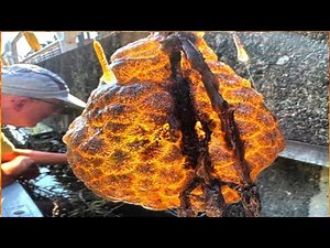 🔴Slimy, orange ‘alien egg pods’ discovered in river — and they’re ‘spreading rapidly’✔ P B P📰