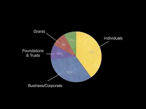 Raiser's Edge - Constituent Codes "A Crash Course"