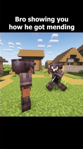 Bro Showing You How He Got Mending #minecraft #invincible #omniman #funny